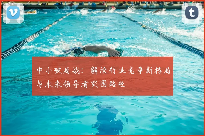 中小破局战：解读行业竞争新格局与未来领导者突围路径